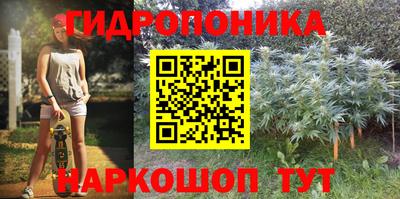 синтетический гашиш Будённовск